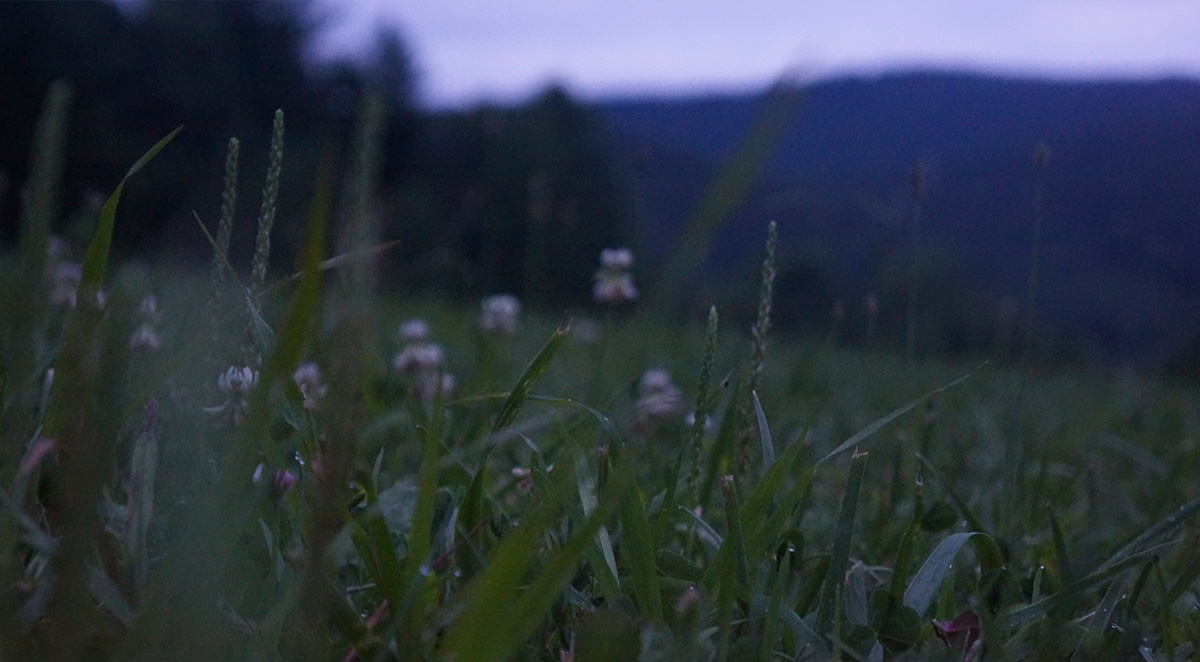 Nature Retreats Near Asheville, NC