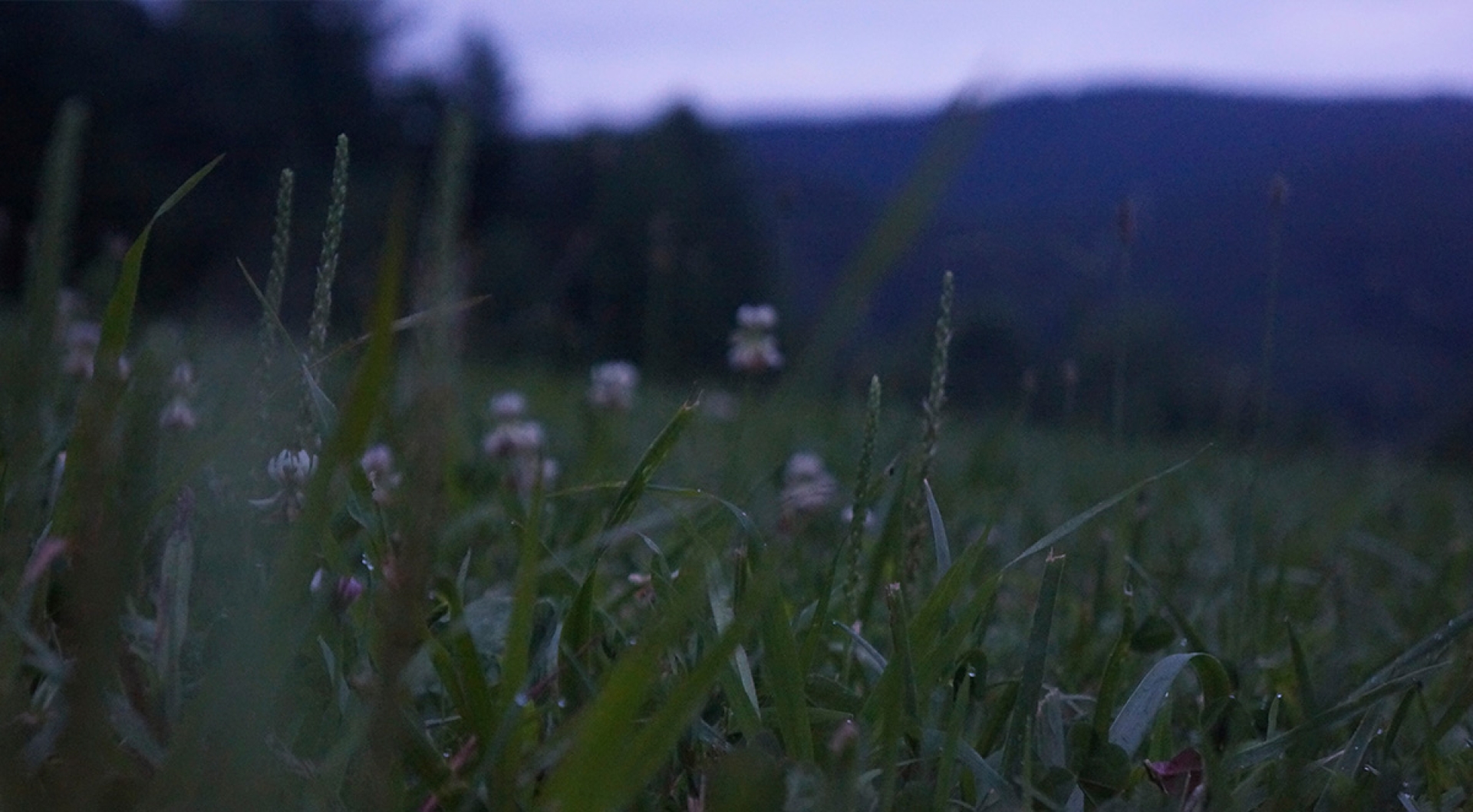 Why Retreat to Nature