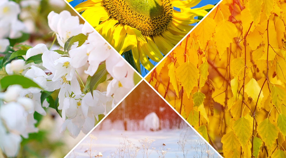 Best Season For Retreats
